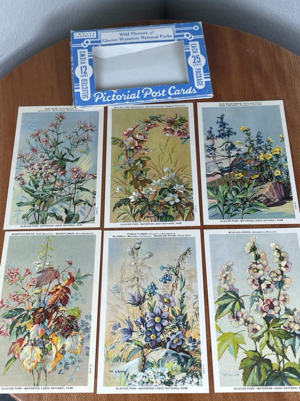 Vintage Pack of Postcards Glacier-Waterton National Parks Floral Set of 12